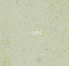 Линолеум Forbo Marmoleum Marbled Splash 3430-343035 salsa verde фото 1 | FLOORDEALER